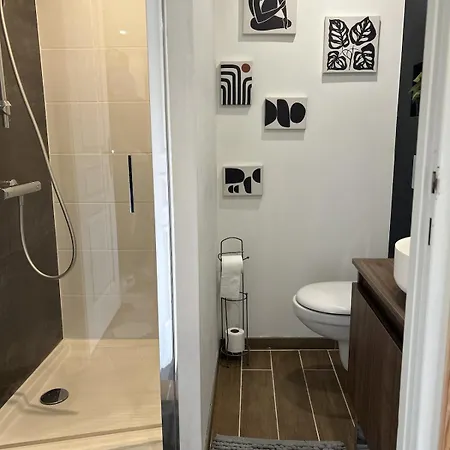 Apartment Bel Appt Centre, Marais, Rando Niort